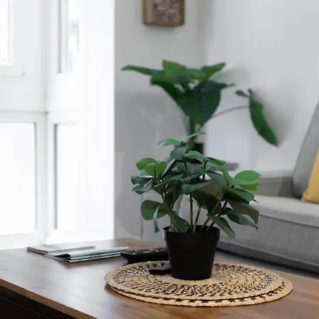 Acogedor Y Familiar Guggenheim דירה